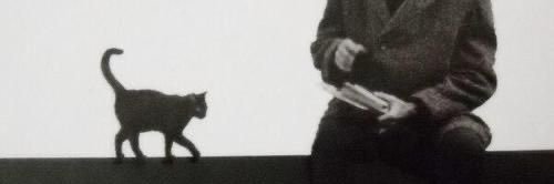 ex banner