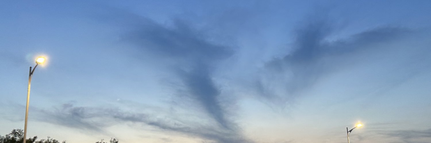 舟鱼 banner