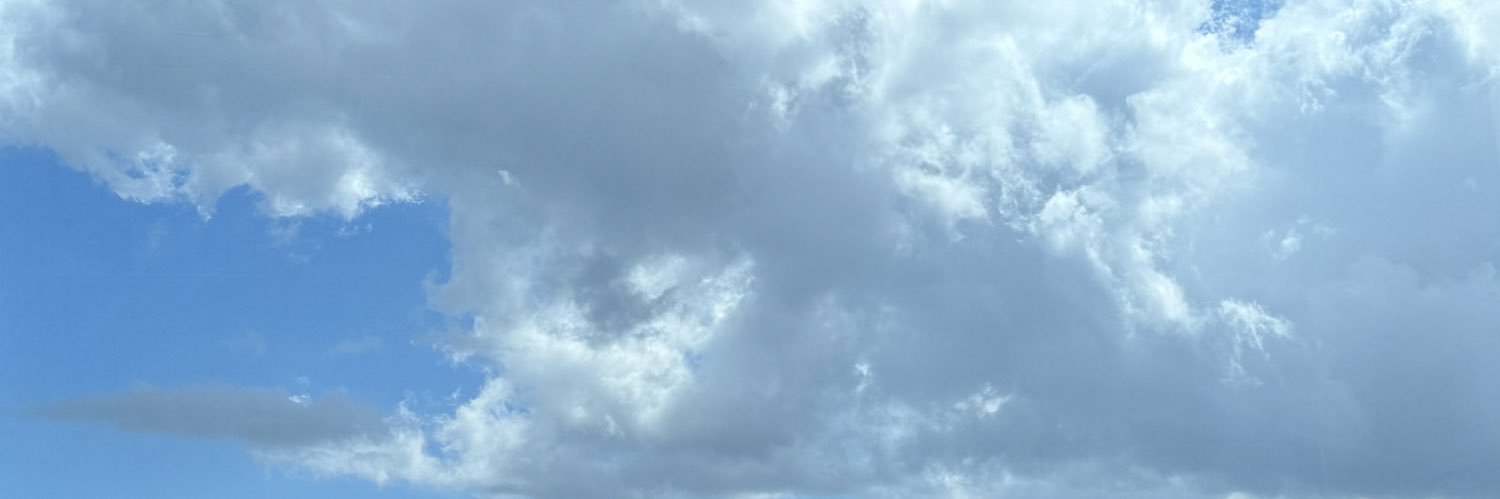KathyThomson's profile banner image