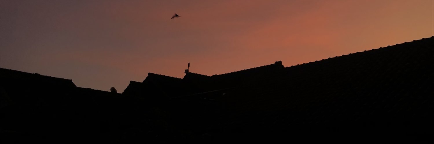 annisainsani_'s profile banner image
