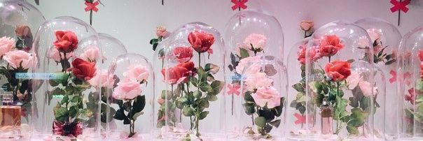CrazyNiceOrange's profile banner image