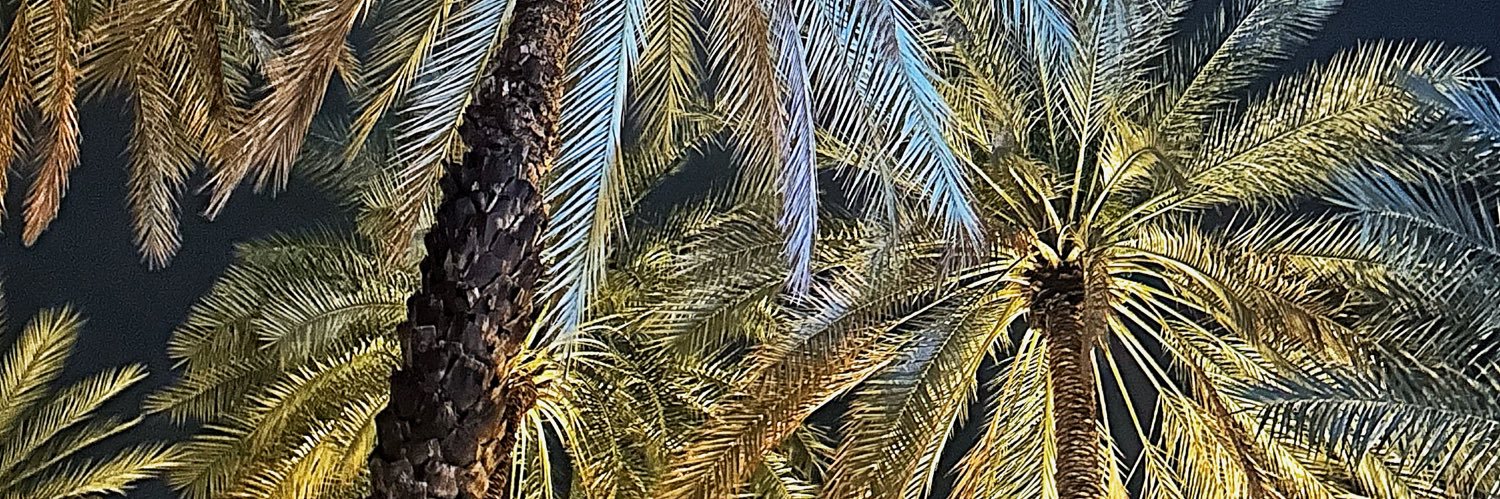 يُــمنى banner