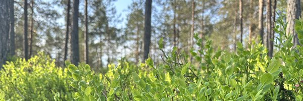 kirsimalm Profile Banner