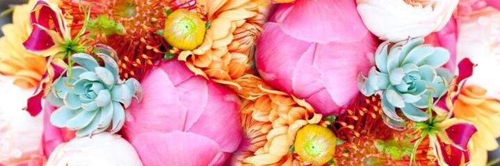 mollyer's profile banner image