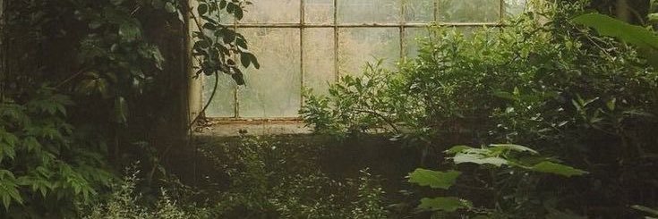 rosie's banner