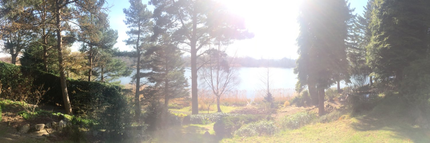 Ildikó Sünci Mázár banner