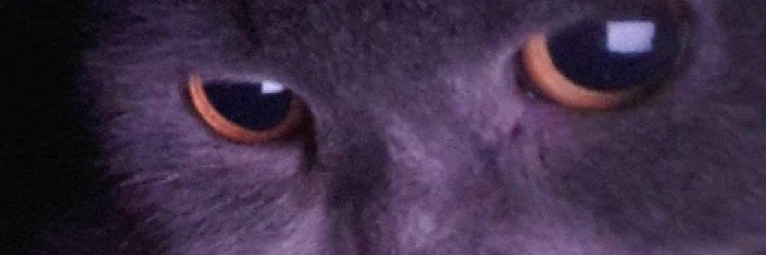 leventaziz1's profile banner image