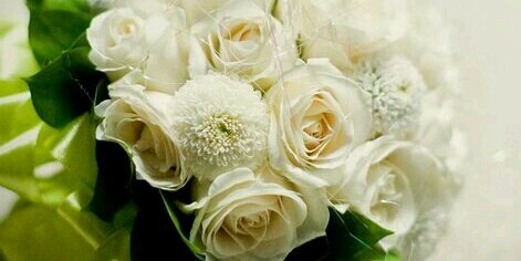 nilanayla's profile banner image