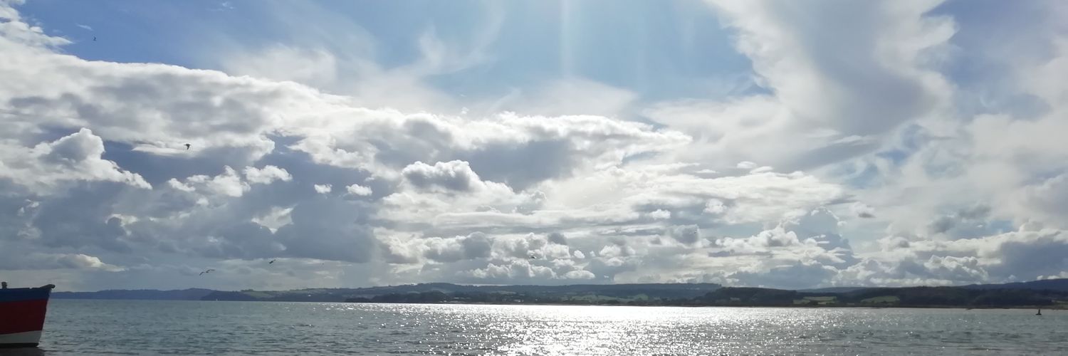 FoxTales82's profile banner image