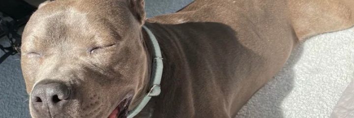 oldhead91487's profile banner image