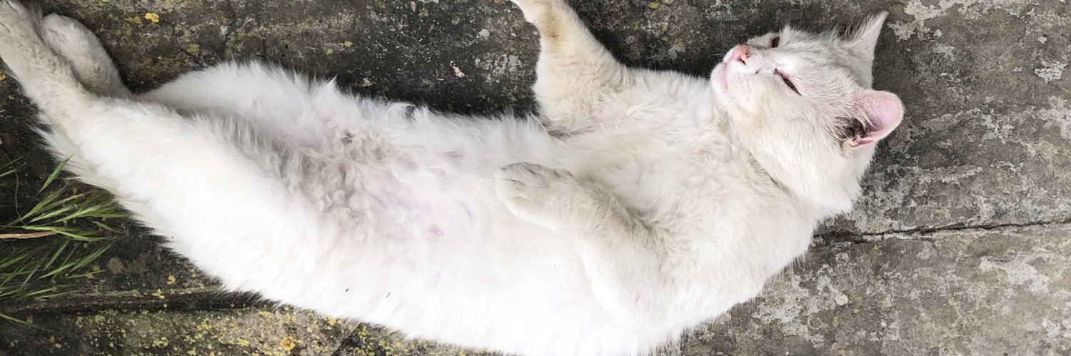 Fdiwa lpilota banner