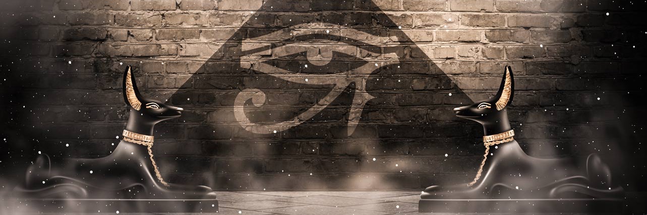 MoeKamal banner