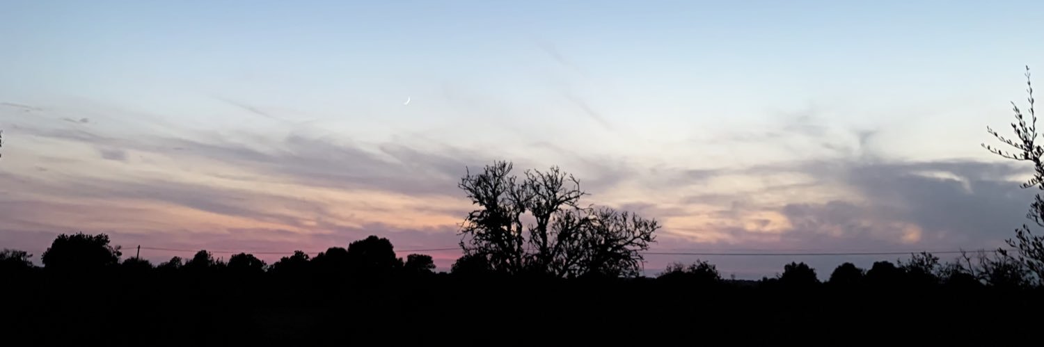 laauraaramos's profile banner image