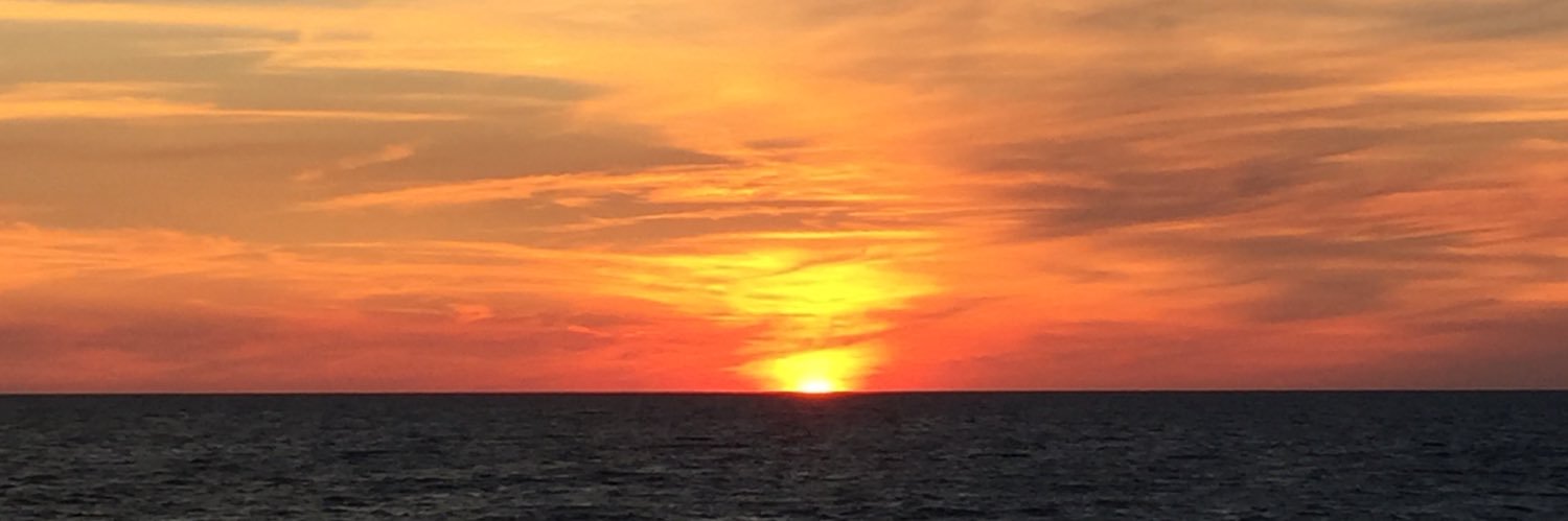 tedjoy's profile banner image