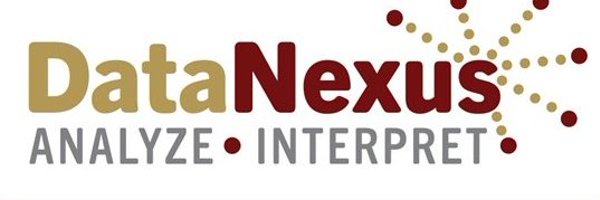 DataNexusElon Profile Banner