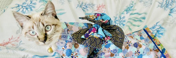 ChaiLatte_Cat Profile Banner