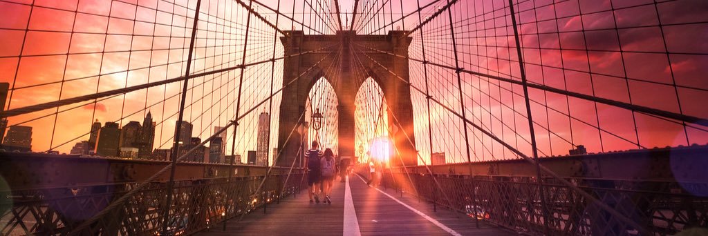 Amber Gardner banner