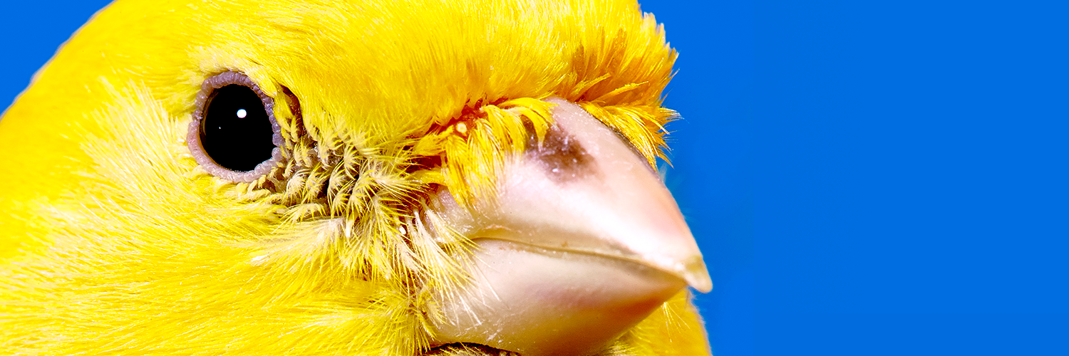 DanPudsey's profile banner image