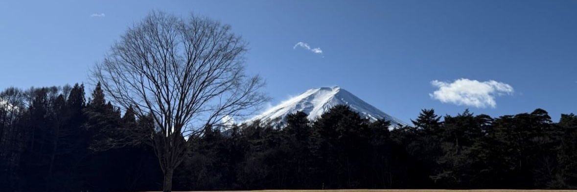 ms236__'s profile banner image