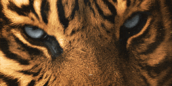 arvind_rawat's profile banner image