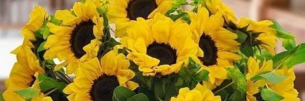 🌻 Sunflower 🌻 Profile Banner