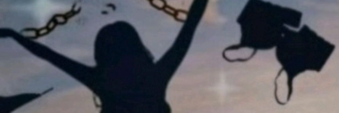 Stefy banner