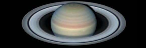 David Bankston banner