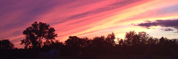 michelleliro Profile Banner