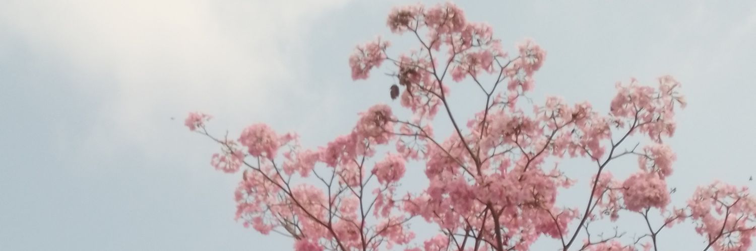 MeJustaFan's profile banner image