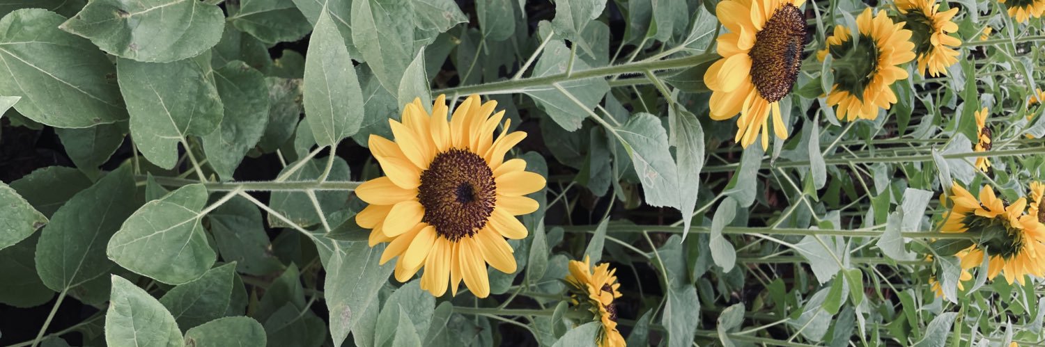 PotatoHead 🌞 banner