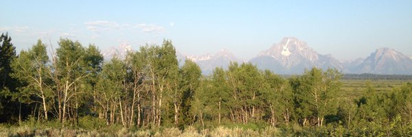 davidfouse Profile Banner