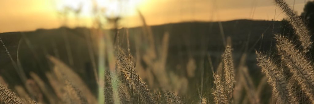 PrettyHarchenko's profile banner image