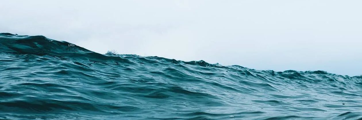 CalixtedeProce's profile banner image