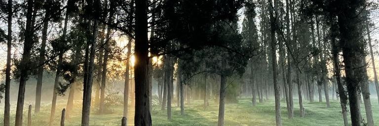 youssefirst1's profile banner image