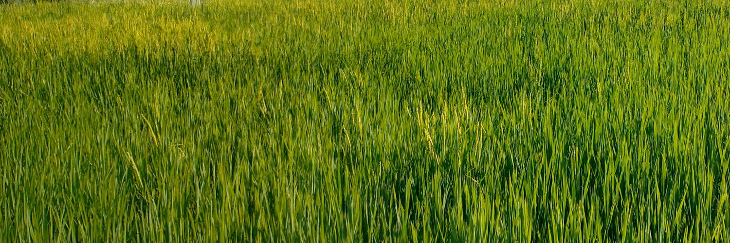 Ranjith Kumar banner