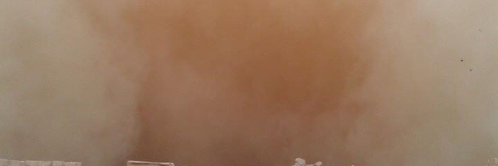 LauraKingLAT's profile banner image