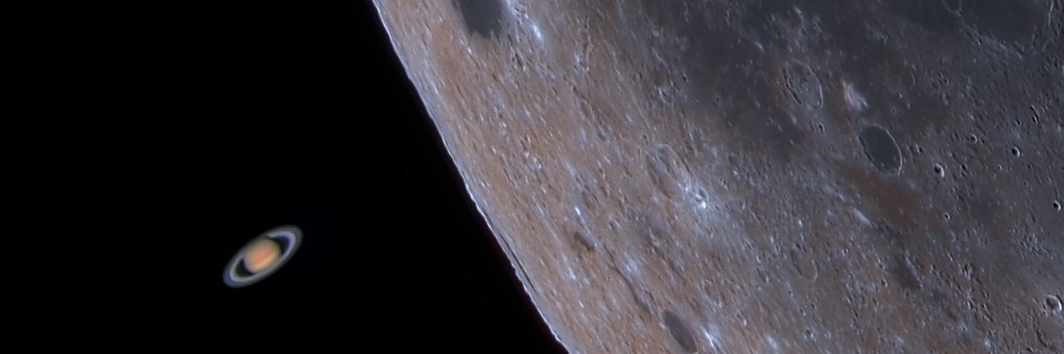 starhare's profile banner image