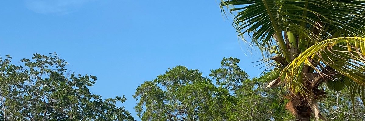 VivianRodrigz's profile banner image