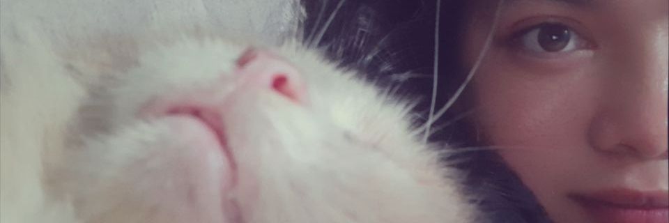 aiueyooo__'s profile banner image