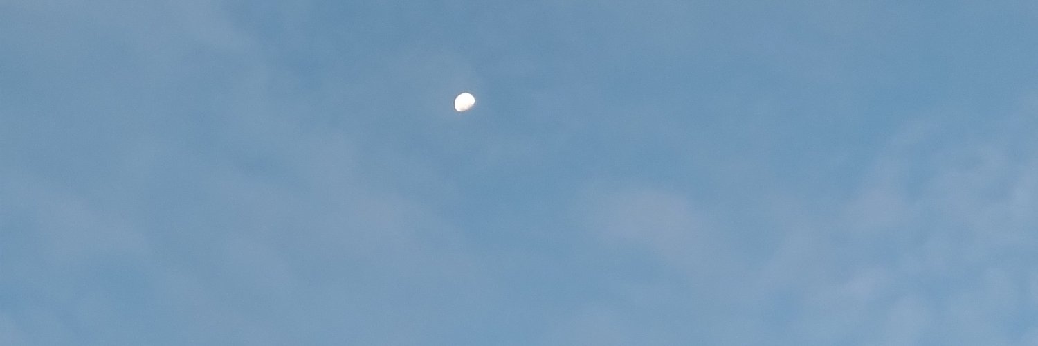 Alexis banner