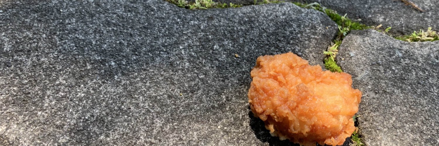 いろ@IRIAMで音楽作ってる鳥 banner