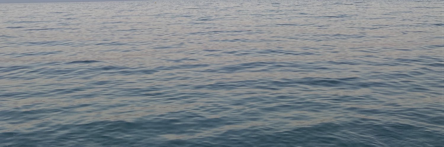 selinaqueesada's profile banner image