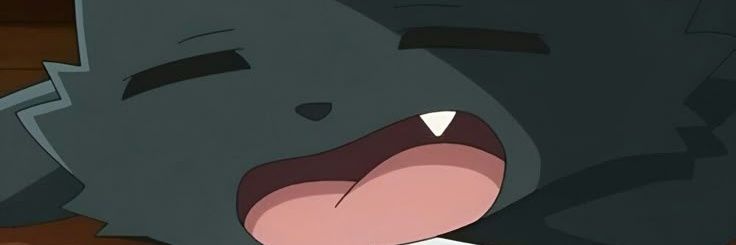 irohayoru's profile banner image