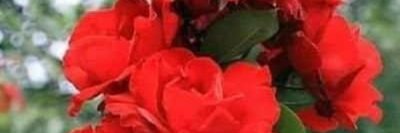 brande78418's profile banner image