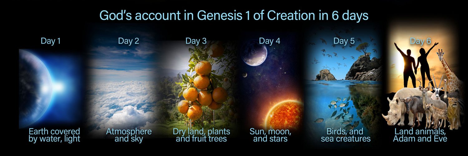 Herman M. Hofman banner