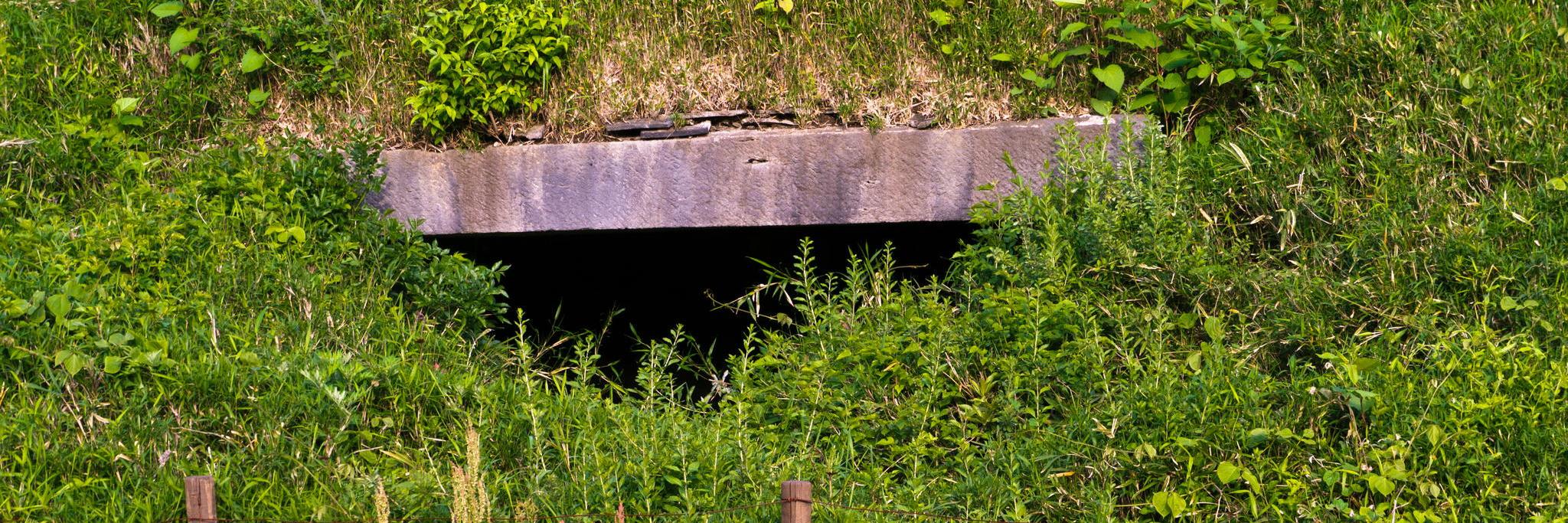 Jayson Harshbarger banner