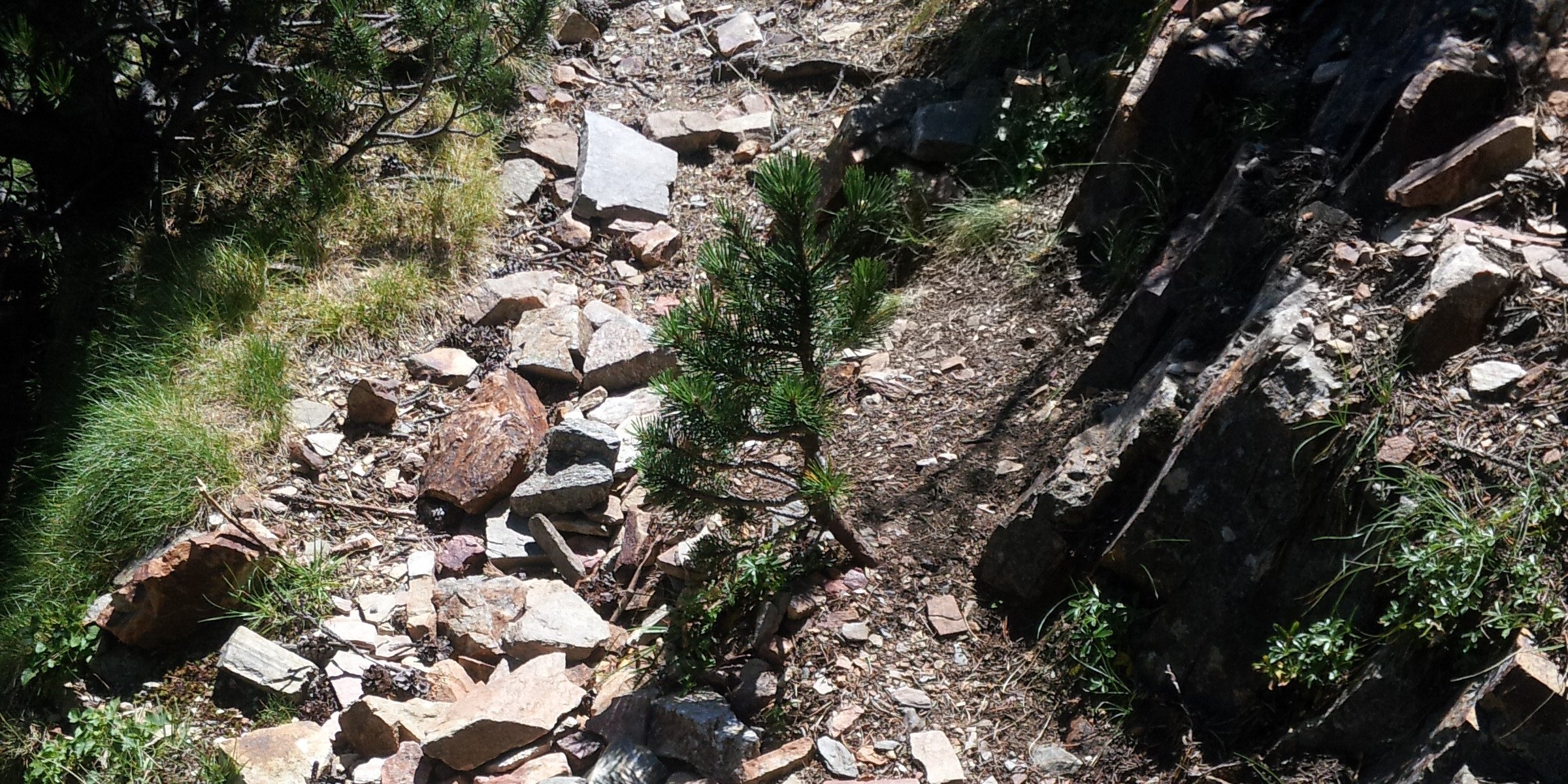 Lluís FQ(ferri) banner