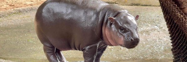 Bigyyhh_0109 Profile Banner