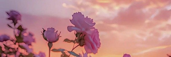 _Serenyty Profile Banner