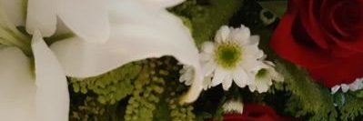 bleeck33330's profile banner image